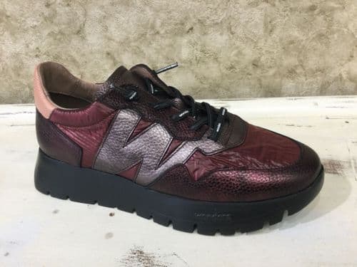 Wonders A-2491 Burgundy Mix Trainer