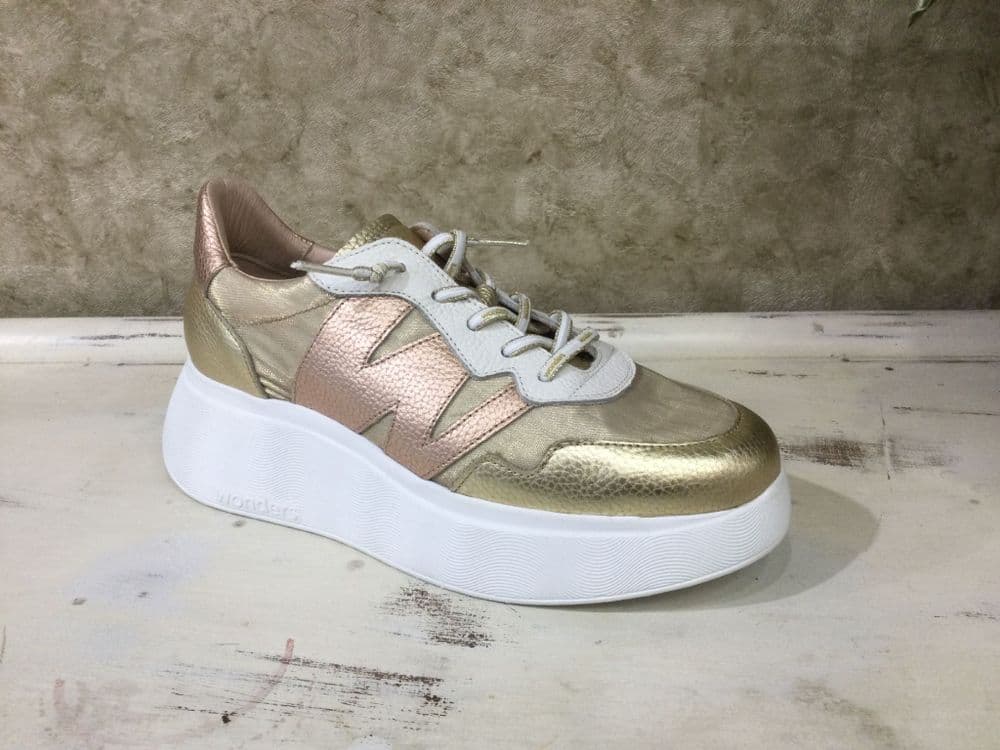 Wonders A-3622 Gold Mix Trainer