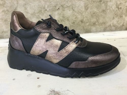 Wonders E-6760 Black & Bronze Mix Trainer