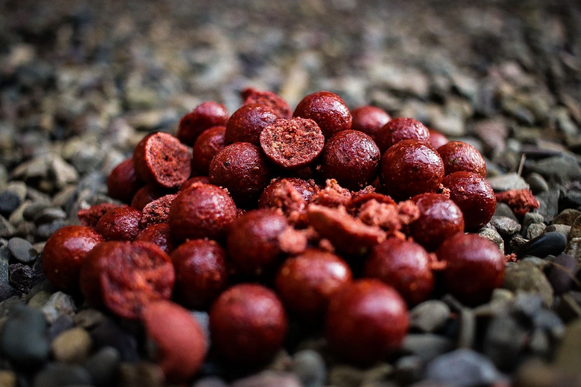 Sacchetti PVA Per Pesca Alla Carpa – Sistema Solido Per Boilies E Pellet, Riempimento Facile E Preciso. Tinca E Barbel Adorano!