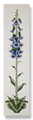 Foxglove (Blue) Fireplace Tile Set - Tubeline Tiles