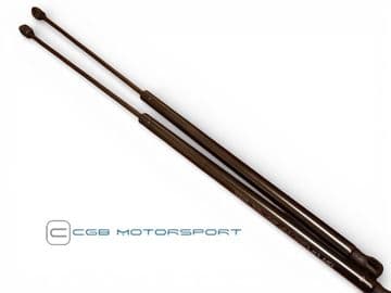 Boot Lid Tail Gate Gas Struts Pair