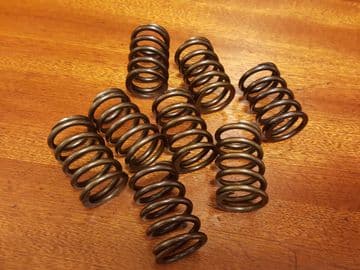 Camshaft Valve Springs Uprated - Suit Piper Cam
