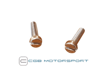 Distributor Cap Mounting Screws / Bolts Pair