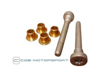 Door Hinge Pins Torx Head including Inserts