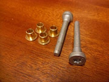 Door Hinge Pins Torx Head including Inserts