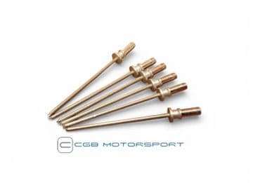 Sill Side Skirt Fixing Clip Mounting Fixing Rivets (6)