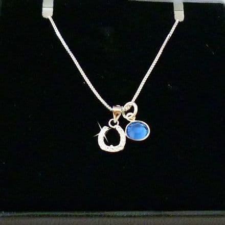 Birthstone Necklace with Horseshoe, Sterling Silver