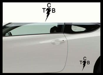 ELVIS TCB ( TAKING CARE OF BUSINESS) CAR BODY DECALS