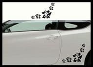 FLOWER CAR BODY DECALS