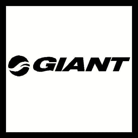 GIANT BIKE DECALS