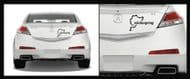 NURBURGRING CAR BODY DECALS