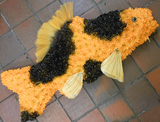 Koi Carp Fish Funeral FlowersBlossom Florists for Fish Tribute