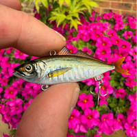 Little Jack Zeigos 55mm