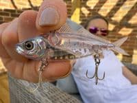 Little Jack Zeigos 75mm
