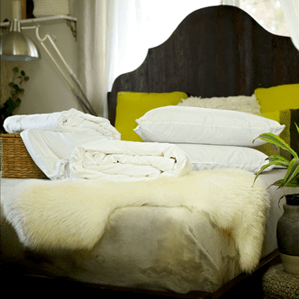 Long-Strand Mulberry Silk-Filled Bedding Set, Continental Queen Size - Two Mulberry Silk-Filled Duvets and 2 Mulberry Silk-Filled Pillows