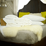 Continental Queen Combo Silk-Filled Duvets + Silk-Filled Mattress Topper + 2 Silk-Filled Pillows