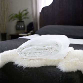Continental Queen Mulberry Silk-Filled Duvets - Pure Luxury