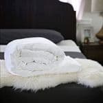 Double Mulberry Silk-Filled Duvet