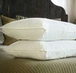Mulberry Silk-Filled Short Pillows - Double Set