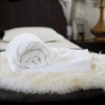 Single Euro Mulberry Silk-Filled Duvet