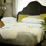 Super King Size Summer Silk-Filled Duvet + Silk-Filled Mattress Topper + 2 Silk-Filled Pillows