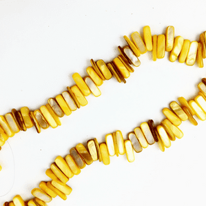 16 Inch Shell 14-20mm Tusk Beads Yellow