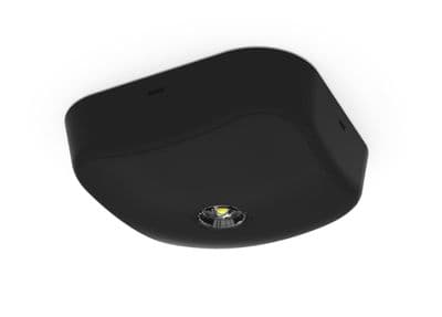 Ansell AFALED/3NM/ST/IP65/B Falcon 6-5K LED 3NM Surface D/L ER&OR Self-Test