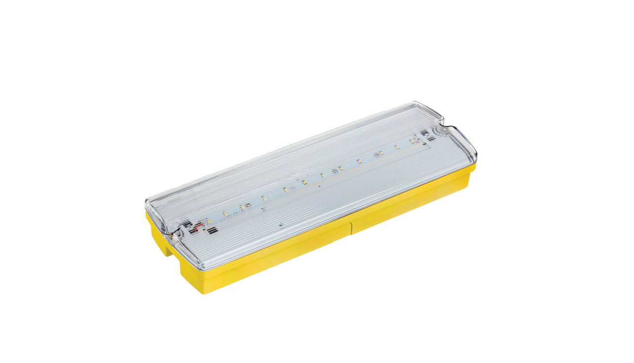 Briticent E9600 3W IP65 Emergency Bulkhead 110V