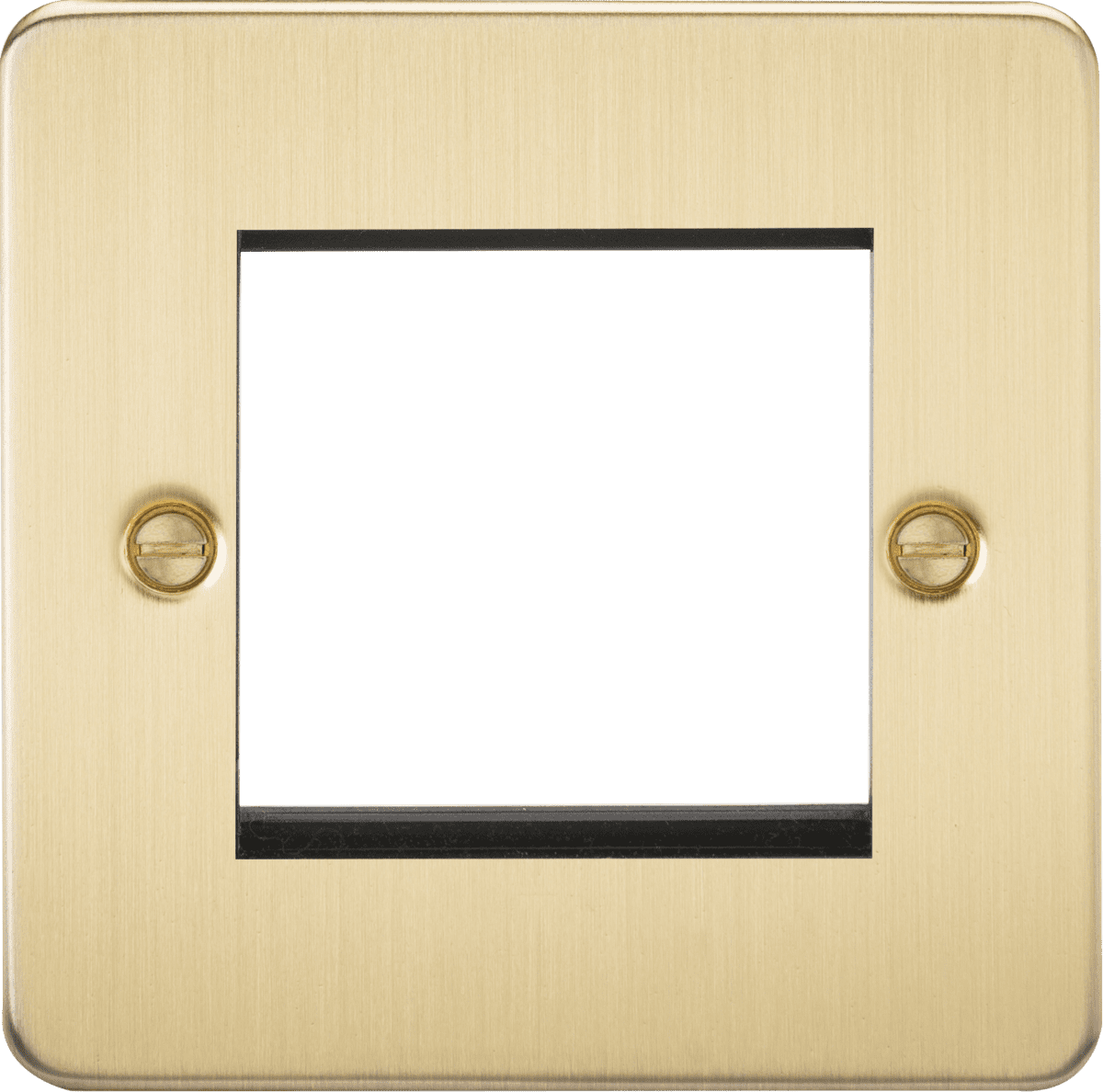 ML Accessories FP2GBB Flat Plate 2G modular faceplate - brushed brass