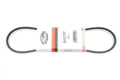 Alternator belt