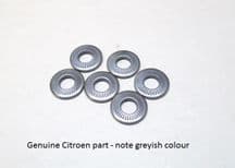 Citroen type spring washer, M5 x 12
