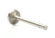 Exhaust Valve