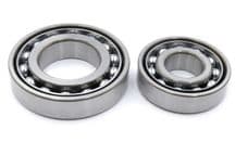 Rear wheel bearing set