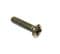 Screw for Safari roof / tailgate trim, M4 x 16 raised countersunk pozi drive