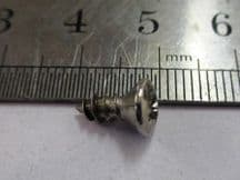 Screw for trims on DS roof / A, B and C posts - stainless steel