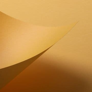 A3 Sunflower Gold Coloured Card 240GSM - 100 Sheets