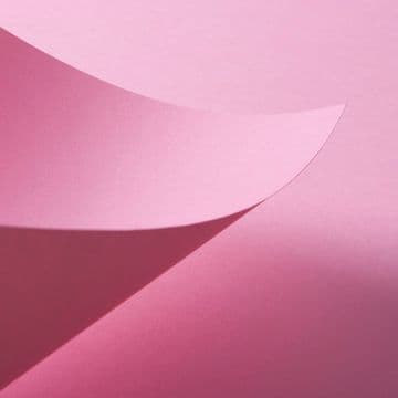 A4 Wild Rose Coloured Paper 80GSM - 50 Sheets