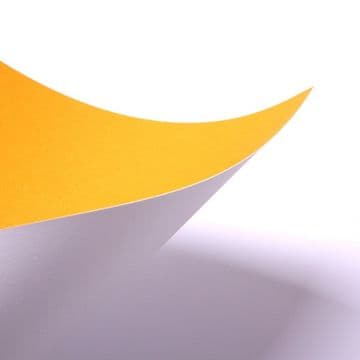 Buttercup Yellow Display Paper Sheets - 100 sheets