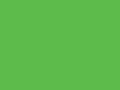 Pale Green Display Paper Sheets - 100 sheets