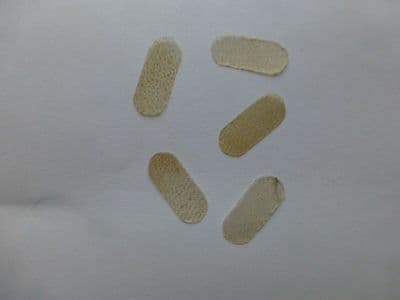 Bridge Cap/Parchment
