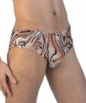 Tiger Swim Brief