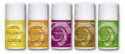 Air Freshener Refill Cinnamon