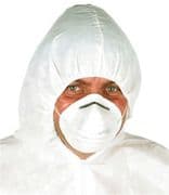 Disposable Dust Mask (x50)