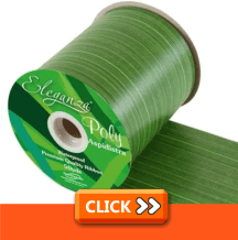 Aspidistra Poly Ribbon