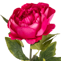 Fuchsia Pink Aurora Peony 62cm | Eleganza Artificial Flowers
