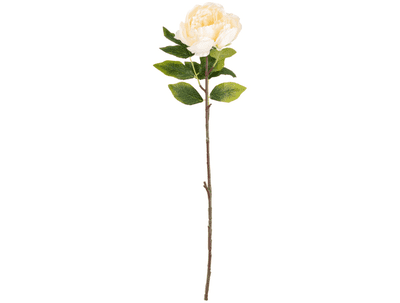 Aurora Peony (Ivory) 62cm (Eleganza) 1pc