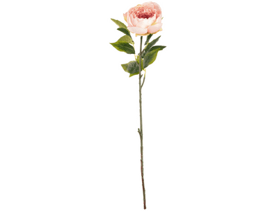 Aurora Peony (Light Pink) 62cm (Eleganza) 1pc