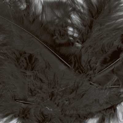 Black Feathers for Balloons - Eleganza 50g Bag 1PK