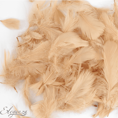 Blush Feathers for Balloons - Eleganza 50g Bag 1PK